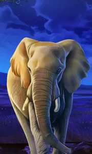 African Elephant